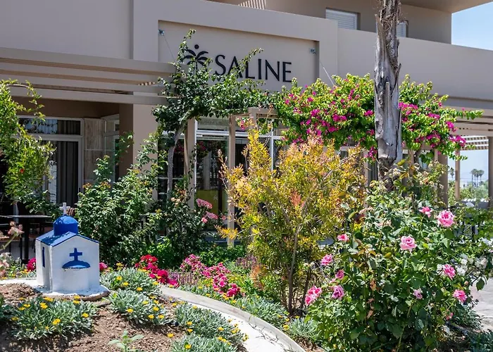 Time To Smile Saline